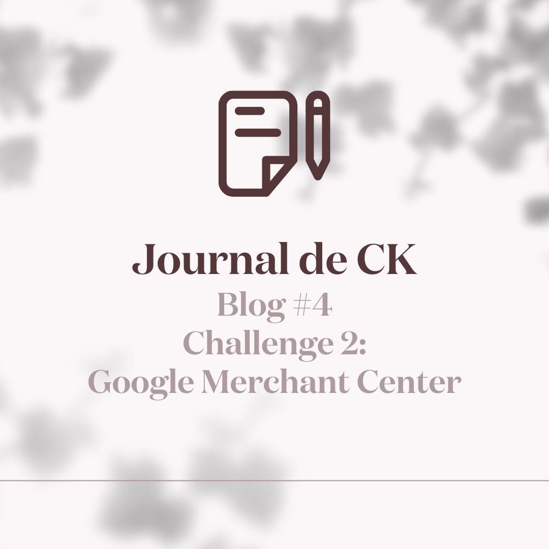 Le deuxième défi : Google Merchant Center - Creative Kits