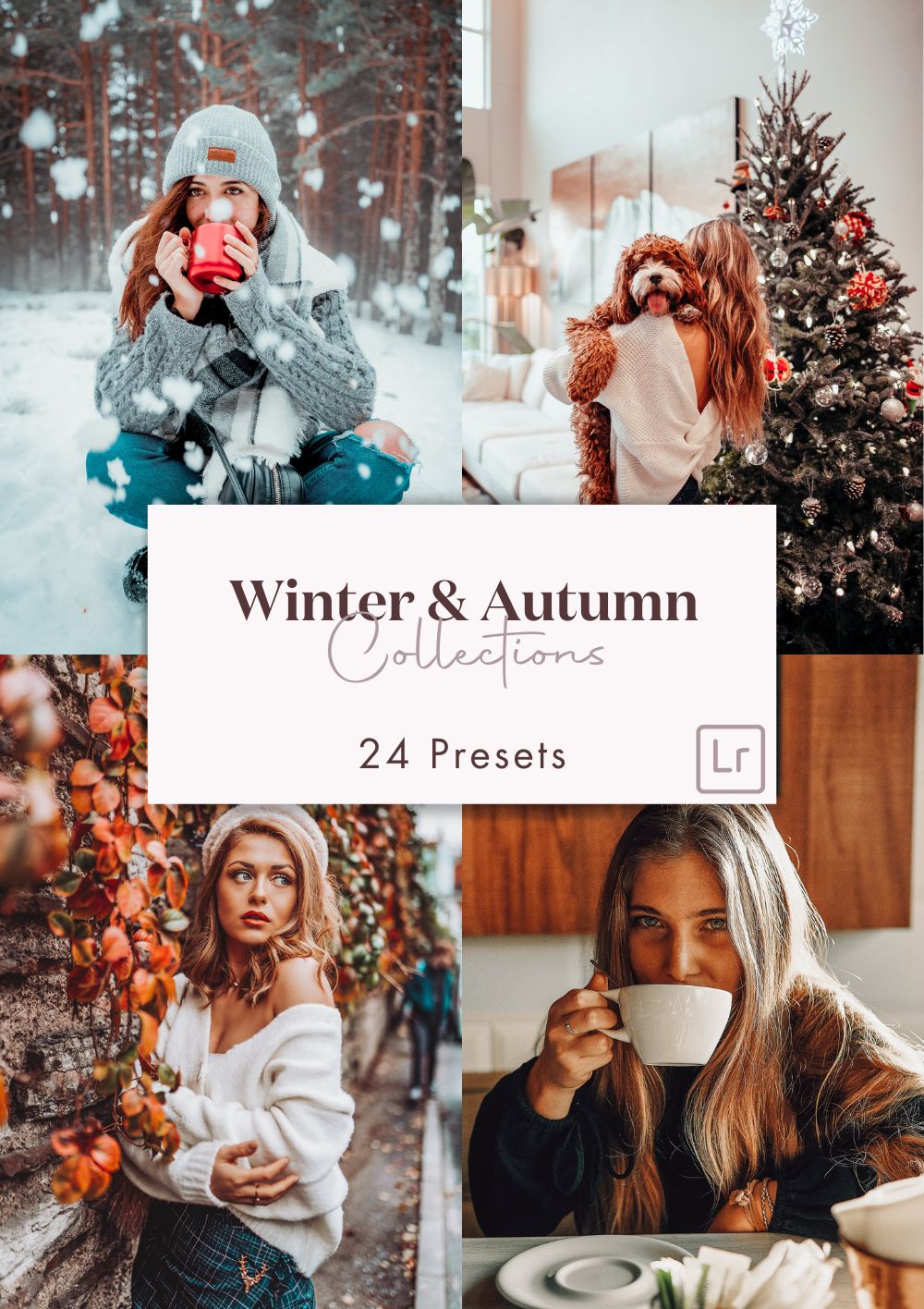 Duo Autumn + Winter Collection (24 presets) - Creative Kits