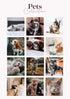 Pets Collection (Presets) - Creative Kits