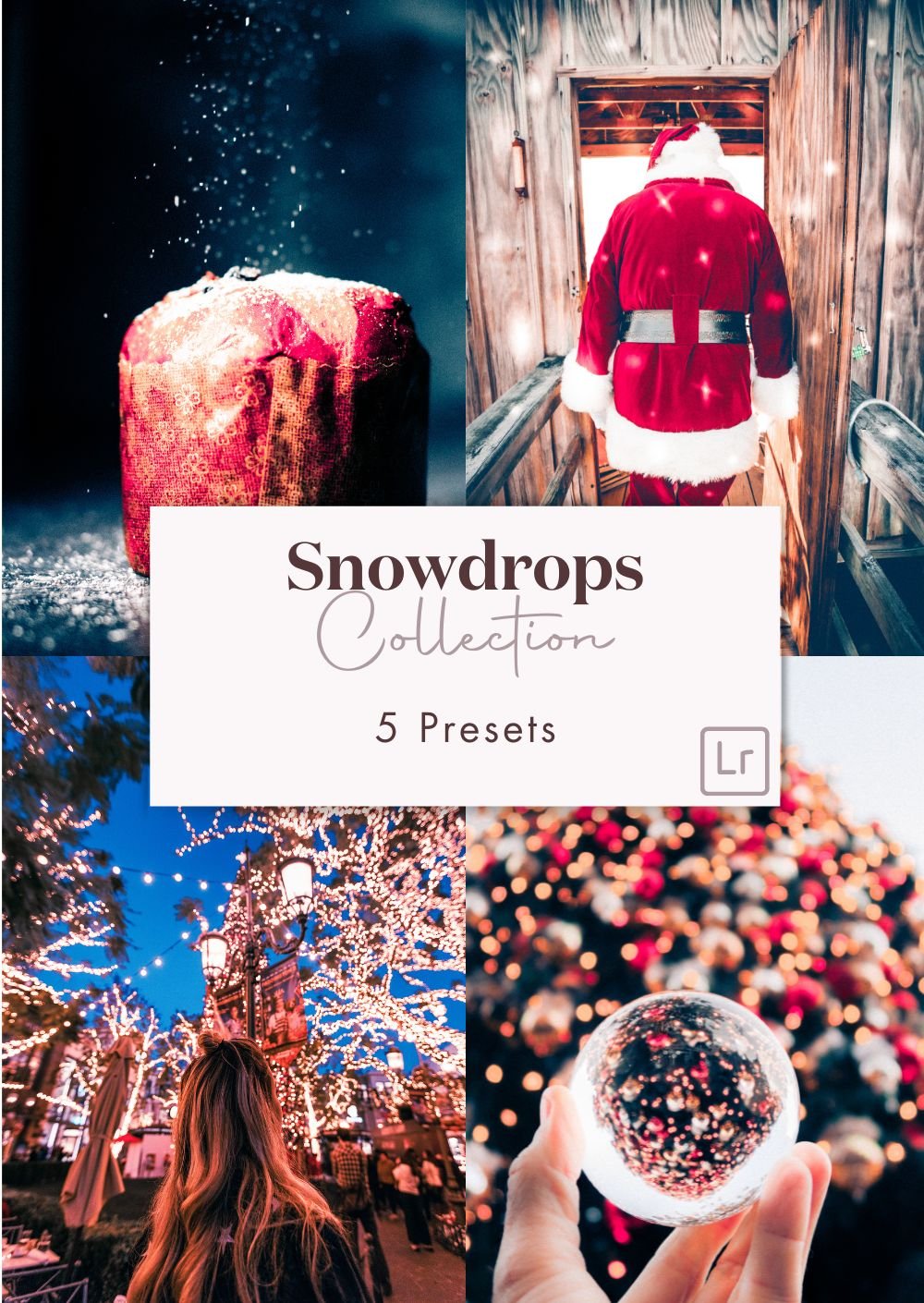 Snowdrops Presets Collection - Creative Kits