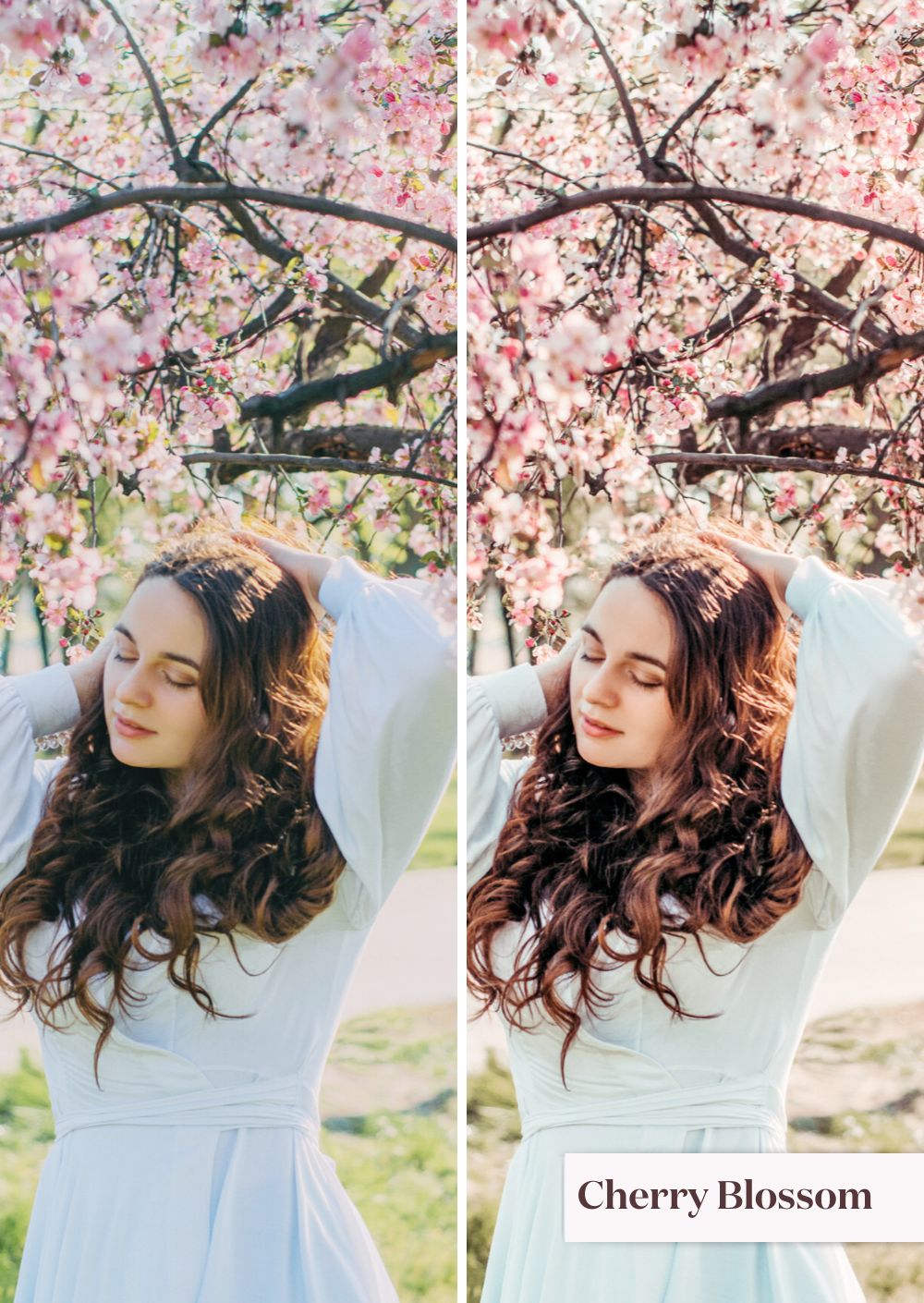 Spring Collection (Presets) - Creative Kits